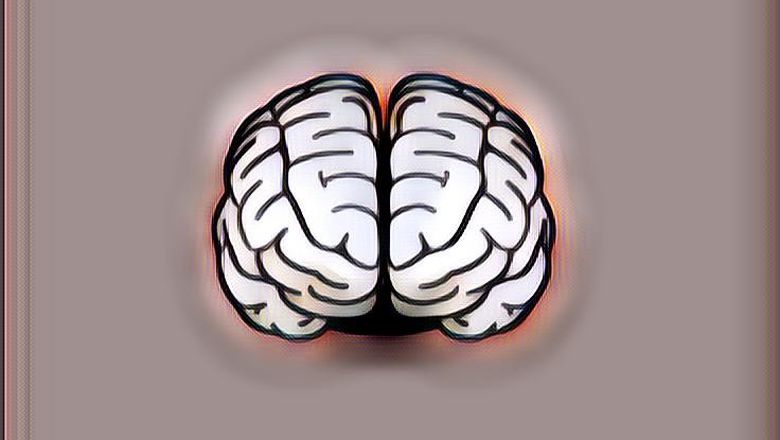 Fungsi Otak Kanan dan Kiri, Mengejutkan!