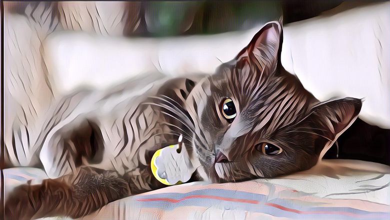 Makanan yang Aman Bagi Manusia, Tetapi Berbahaya Bagi Kucing