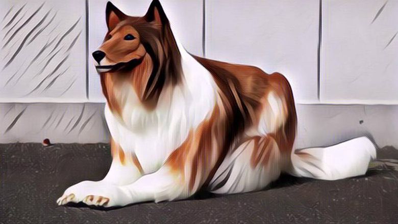 Viral Pria Asal Jepang Rela Keluarkan Biaya Rp230 Juta Demi Beli Kostum Anjing