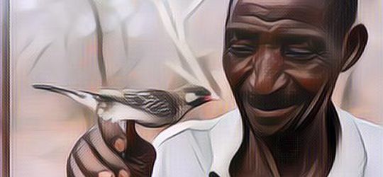 5 Hewan yang Ternyata Mengerti Bahasa Manusia, Bisa Jadi Sohib Nih