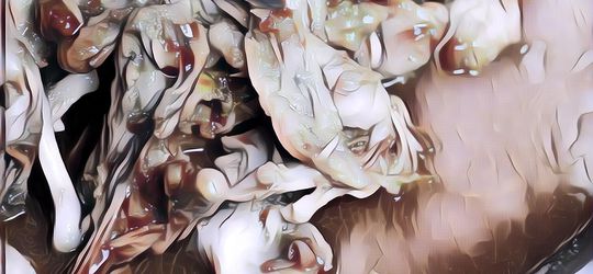 Memilukan! Kisah Masyarakat Miskin di Filipina, Hidup dengan Memakan Pagpag, Hidangan Berbahan Daging yang Diambil dari Tempat Sampah