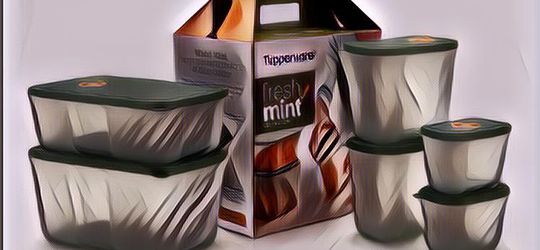 Sosok Ini Jadi Pemilik Tupperware, Produk Kesayangan Emak-emak yang Diisukan Bakal Bangkrut