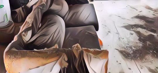 Bikin Gemes! Rumah Ini Disewa Oleh Orang yang Suka Kucing, Kondisi Dalamnya Bikin Syok