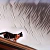 Ini Alasan Kenapa Kucing Dapat Julukan 'Makhluk 9 Nyawa', Ternyata Emang Sehebat Itu!