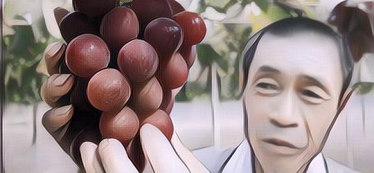 6 Buah Termahal di Dunia yang Bikin Kantong Insecure