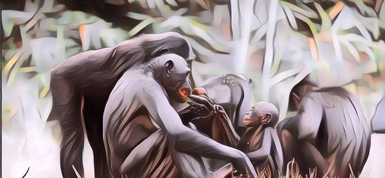 5 Binatang yang Memiliki Memori Terpendek, Beberapa Detik Sudah Lupa!