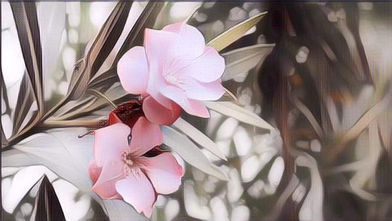 4 Pohon Ini Disebut Paling Beracun di Dunia