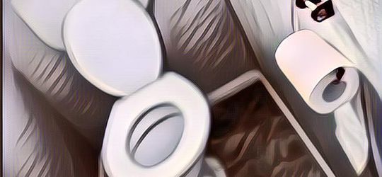 Tragis! Pengantin Baru Ini Gantung Diri Karena Gak Ada Toilet Di Rumah Suaminya, Fakta Lain Terbongkar