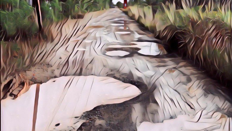 Muak Pemerintah Tak Kunjung Bergerak, Pria Ini Jadi Pahlawan dan Bangun Sendiri Jalanan di Desanya