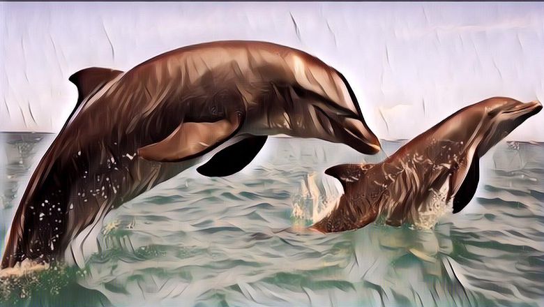 Apakah Lumba-Lumba Hewan yang Paling Cerdas? Ternyata Begini Hasil Penelitiannya!