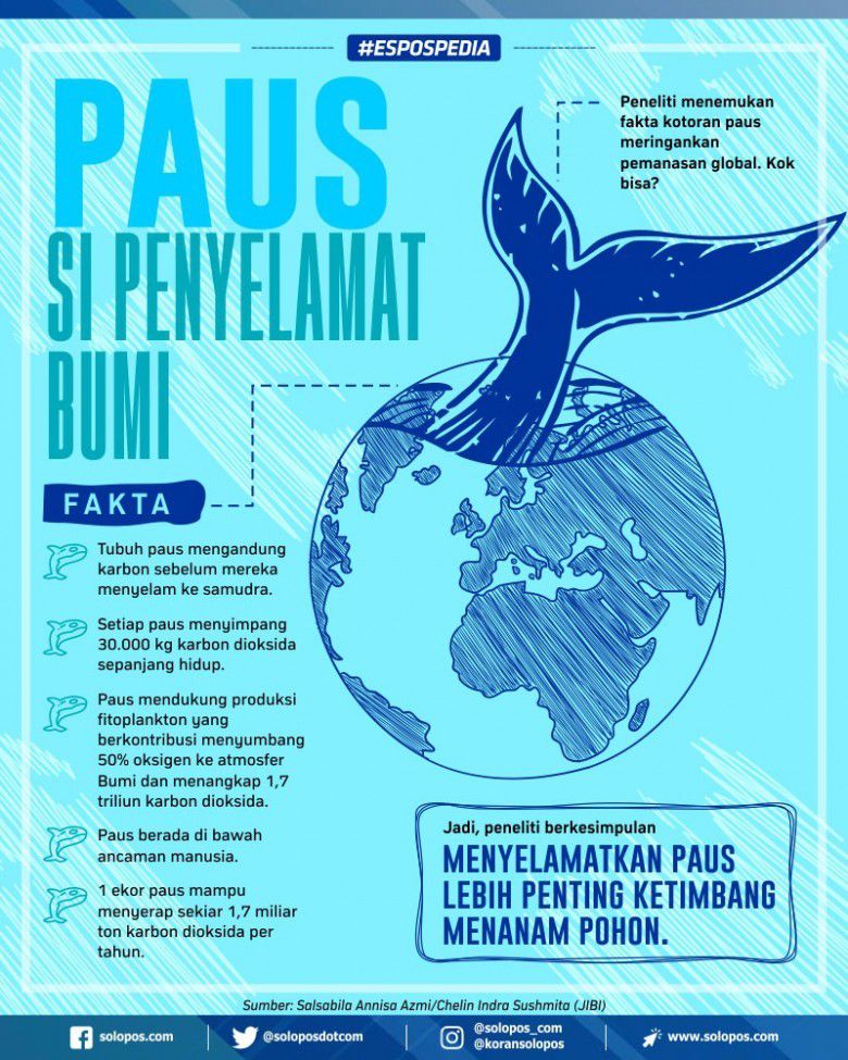 # Jumlah Populasi Paus Saat Ini