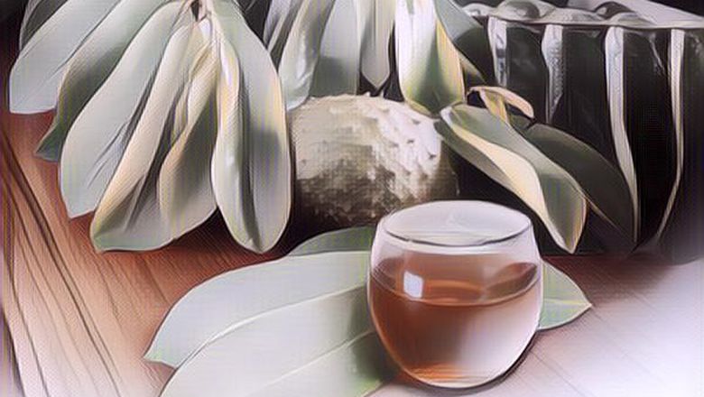 Jangan Dibuang, Ini 5 Manfaat Daun Sirsak Rebus untuk Kesehatan