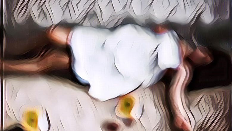 Horor! Wanita Ini Dengar Tangisan Wanita, Ternyata Berasal dari Foto Buku Yasin Korban Pembunuhan