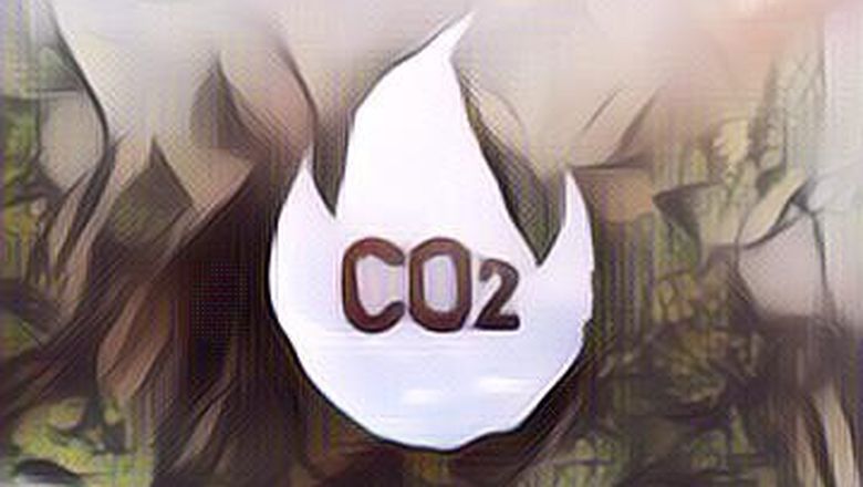 Peneliti Ungkap Oksigen di Bumi Suatu Saat Akan Habis, Begini Penjelasannya