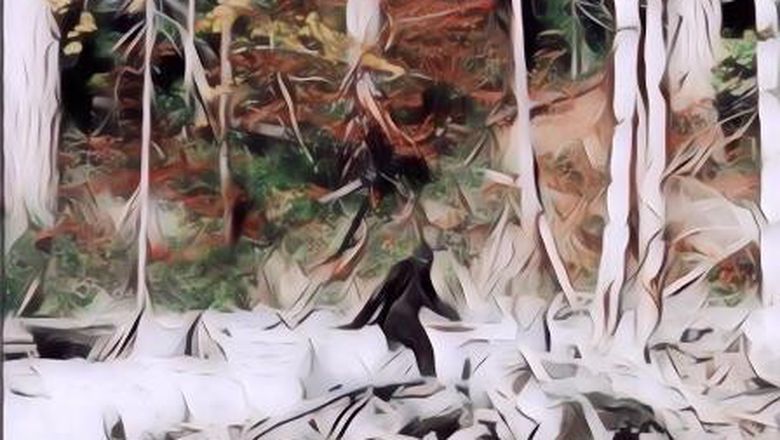 Kisah Penculikan Seorang Pria oleh Sasquatch, Makhluk Raksasa yang Masih Diteliti Keberadaannya