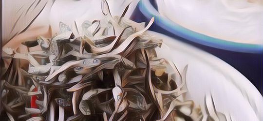 Banyak Makan Teri Bisa Bikin Wanita Panjang Umur, Ini Penjelasan Pakar