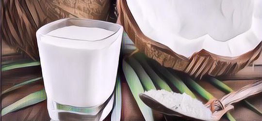 Apakah Santan Bikin Kolesterol? Cek Faktanya di Sini!