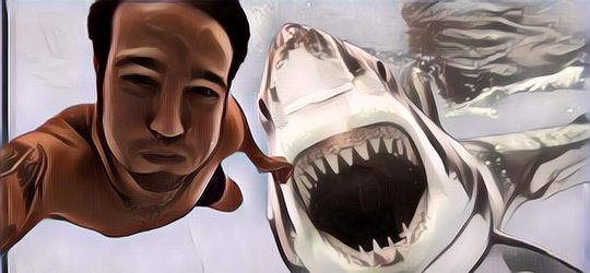 Hewan-hewan Buas Ini Ternyata Gak Berbahaya Seperti yang Kita Pikir Kok