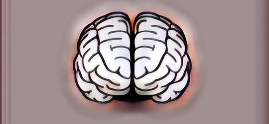 Fungsi Otak Kanan dan Kiri, Mengejutkan!