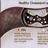 Makanan yang Dapat Meningkatkan 'Kolesterol Baik' atau HDL
