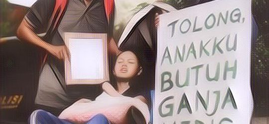 Viral Berita Seorang Ibu Minta MK Berikan Izin untuk Ganja Medis, Berikut Manfaat Ganja untuk Kesehatan yang Tak Banyak yang Tahu