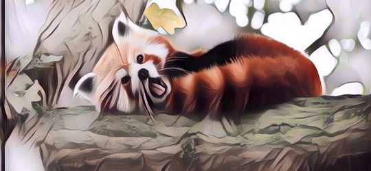 Beberapa Fakta Unik Hewan yang Perlu Kamu Ketahui (Bagian 2)