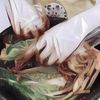 Pamerkan Ramen dan Kimchi, Apa Nggak Bikin Ngiler Pengunjung Museum tuh?