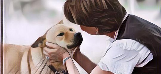 Mau Adopsi Anjing? Pertimbangkan Dulu 5 Hal Ini Sebelum Melakukannya!