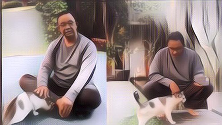 Kenalan dengan Kucing-kucing Peliharaan Anies Baswedan, Sifatnya Lucu-lucu