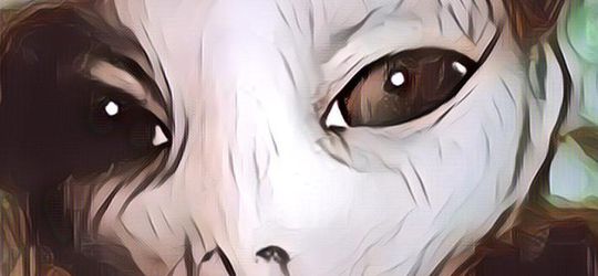 Heboh Ada Penampakan Mirip Alien, Badannya Transparan!