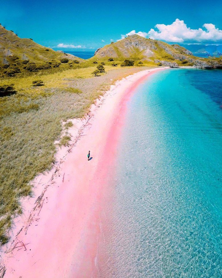 6. Pantai Pink, Pulau Komodo, Nusa Tenggara Timur