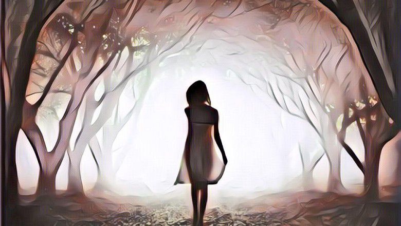 Misteri Hutan Karet Part 10 (Sebuah Pintu Tua)