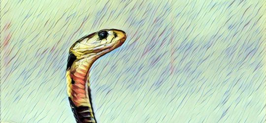 Ular Kobra Ditemukan Bergelantungan di Mesin Pendingin Ruangan