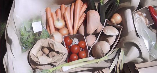 5 Tips Menyimpan Makanan Saat Berkemah Biar Nggak Cepat Basi