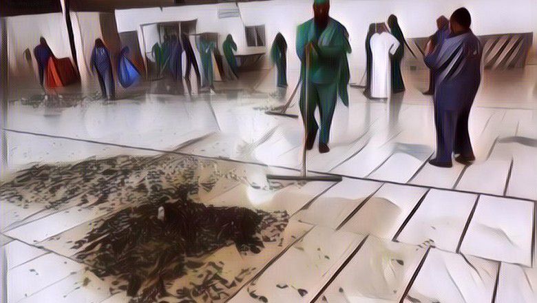 Langka! Jutaan Belalang dan Jangkrik Mendatangi Masjidil Haram di Mekkah, Pertanda Apa ya?