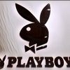 Tahu Nggak Sih, Kenapa Kelinci Jadi Lambang Majalah Playboy?