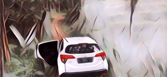 HIII Serem! Kisah Pemudik yang Tersesat di Hutan Gaib Subang Selama 8 Jam