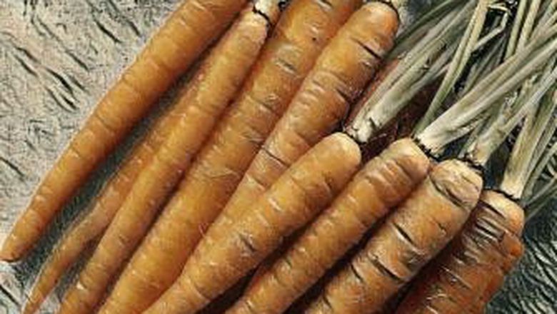 Punya Banyak Stok Wortel Di Rumah? Kamu Bisa Olah Jadi 7 Makanan Ini