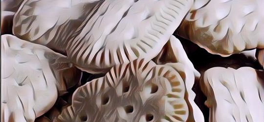 Terjawab Sudah! Fungsi Lubang Kecil Pada Biskuit