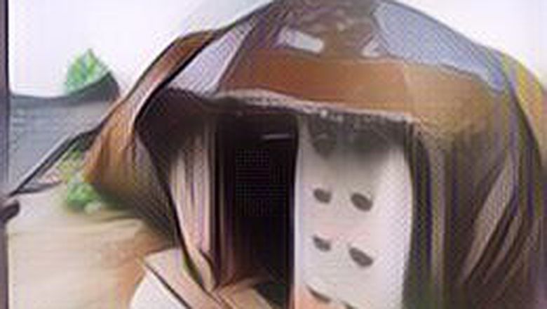 Fakta Rumah Batu "Patrick Spongebob" di Wonogiri yang Unik