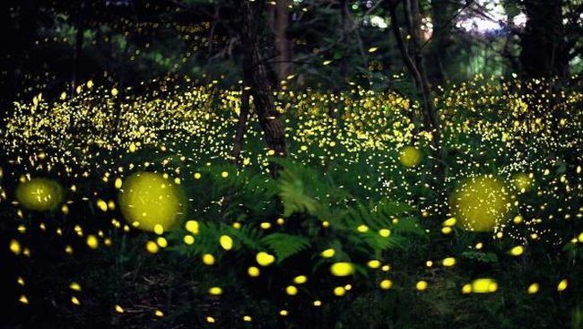 # Untuk Menarik Pasangan