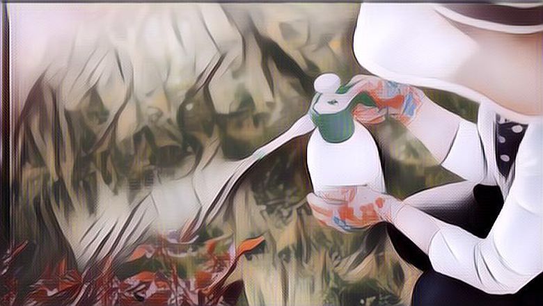 Beberapa Resep Membuat Pestisida Alami Rumahan, Kamu yang Hobi Berkebun Wajib Tahu!