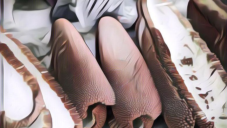 Beragam Manfaat Buah Merah Papua yang Baik bagi Tubuh