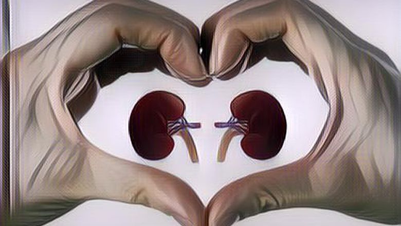8 Gaya Hidup yang Dapat Menjaga Kesehatan Ginjal, Jangan Tunggu Sampai Sakit!