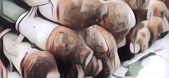 Harga Sembako Meroket, Ini 5 Opsi Sumber Karbohidrat Selain Beras