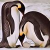 Apa Alasan Pinguin Suka Bertelur di Tempat yang Dingin?
