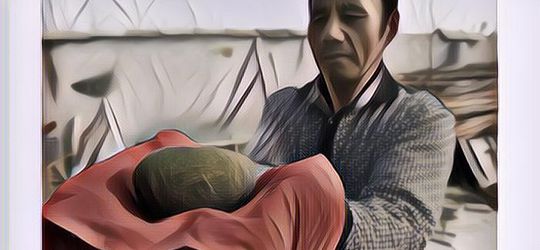 Siapa Sangka Manfaat Batu Empedu Babi Ternyata Luar Biasa, Begitu Juga Harganya!