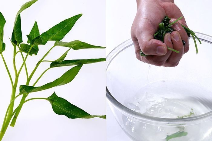 2. Cuci kangkung dengan cara yang tepat