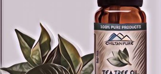 Tea Tree Oil Ampuh Basmi Jerawat, Tapi Gak Boleh Dipakai Pria Loh!