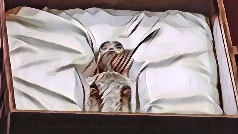 Ilmuwan Meksiko Meneliti Jasad Alien, Diduga Asli!